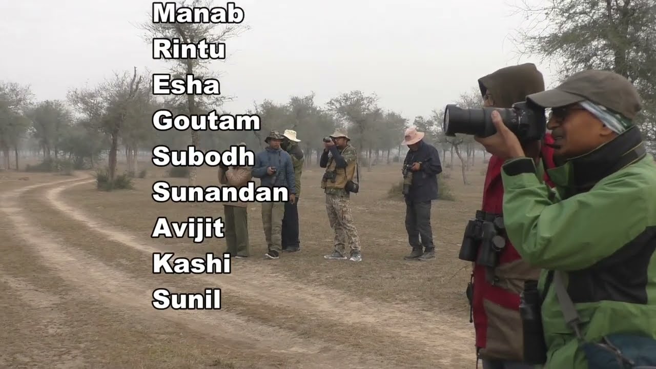 Talchappar_ Rajasthan Bird Watching Trip 2019