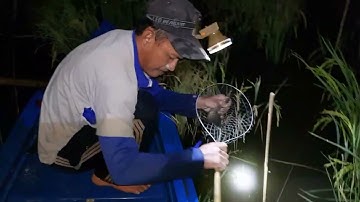 Giăng Câu Diền Mùa Nước Nổi | Thanh Vlog NT