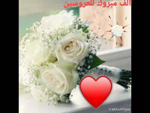 زفة للعروس طلت فينا ست الكل