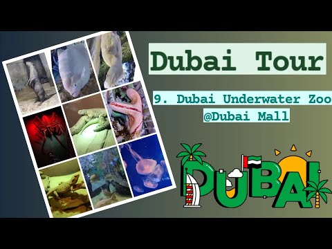 9. Dubai Underwater Zoo/Biggest Crocodile Ever Seen/White Tortoise & Many Various Animals and Fishes