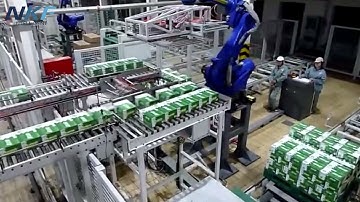 Demonstration of Yaskawa robot applied to automated handling.