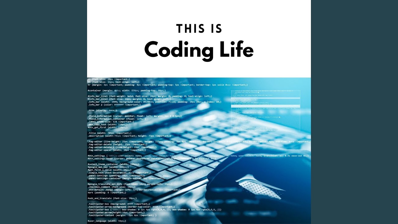 Regardez Coding Bootcamp sur YouTube Regardez Coding Bootcamp sur YouTube
