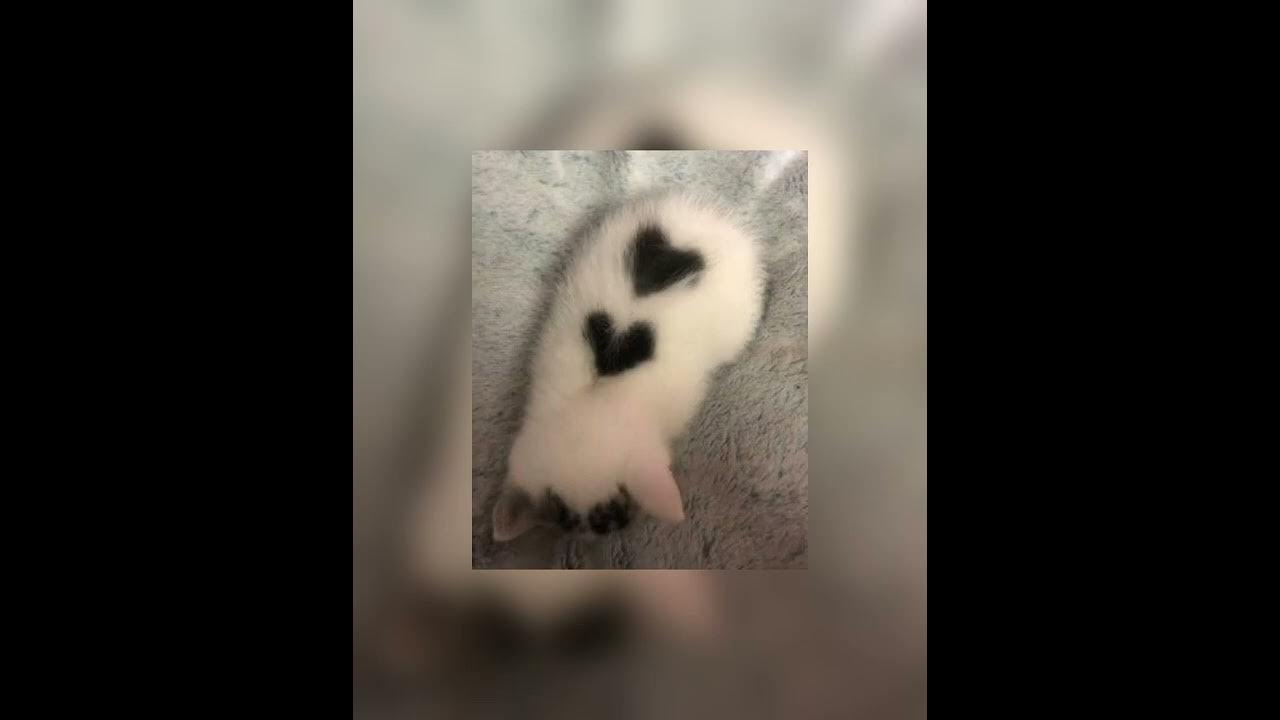 Е бой. Е бой. Надя дорофеева е бой. Е бой speed up. Е бой speed up.