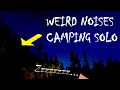 Weird noises heard while prospecting for gold and camping alone...