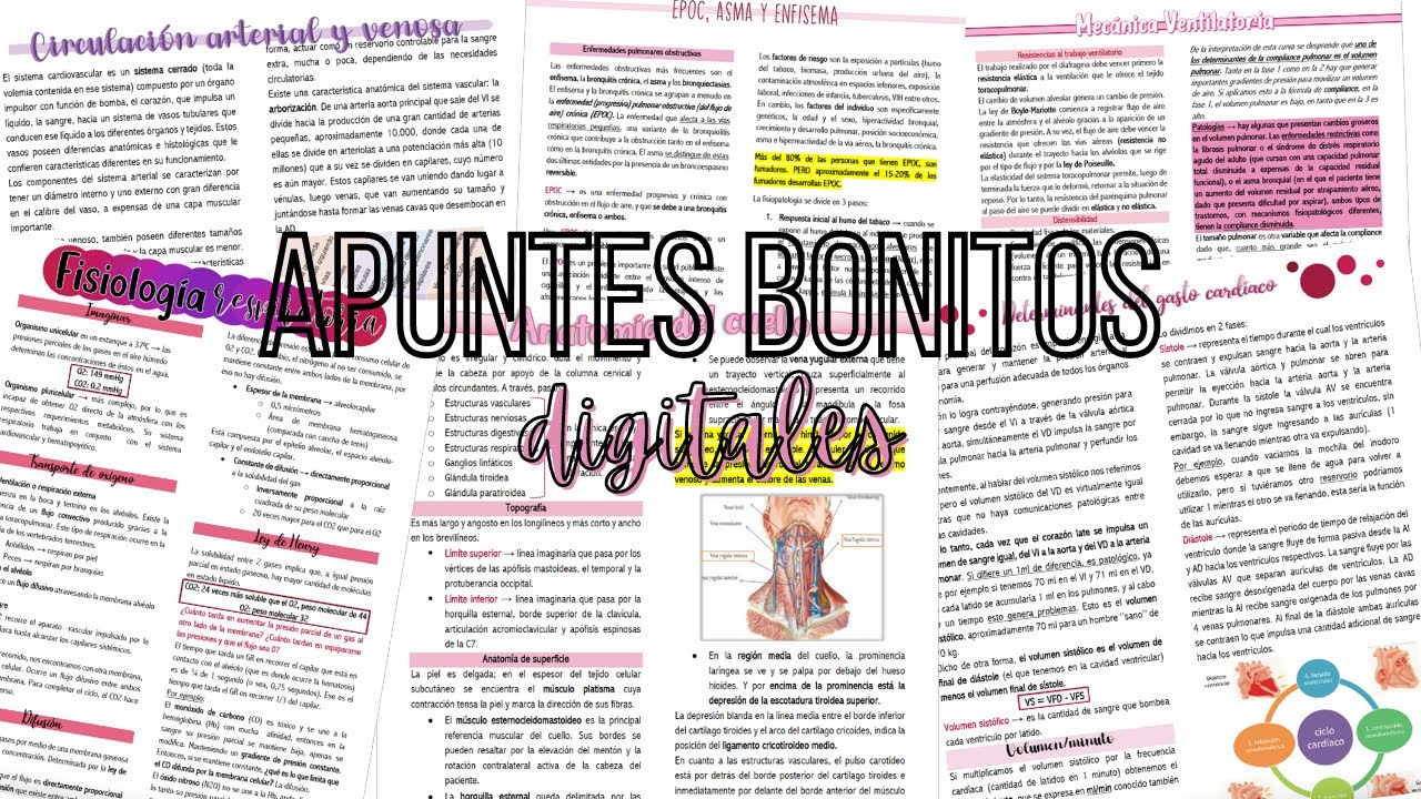 APUNTES DIGITALES en WORD