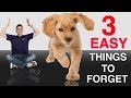 3 Quick Easy Things to Forget When Training Your Puppy or Dog! 3 Quick Easy Things to Forget When Training Your Puppy or Dog!
