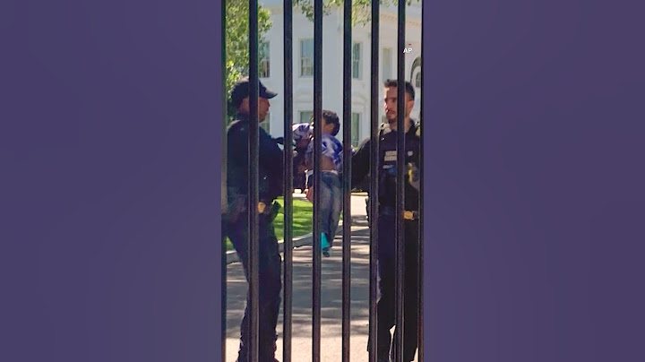 Secret Service catches tiny White House intruder
