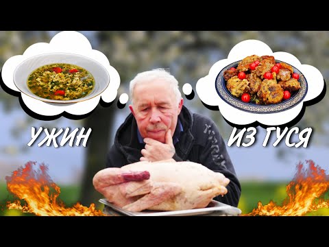 ВСЕХ НАКОРМИЛ БЫ, ЕСЛИ БЫ СМОГ - ЖАРЕНЫЙ ГУСЬ с БУЛЬОНОМ в КАЗАНЕ на КОСТРЕ