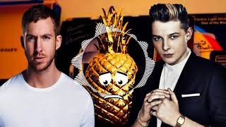 Jay Hardway Vs. Calvin Harris & John Newman -  Blame Golden Pineapple (Franco Figueroa Mashup)