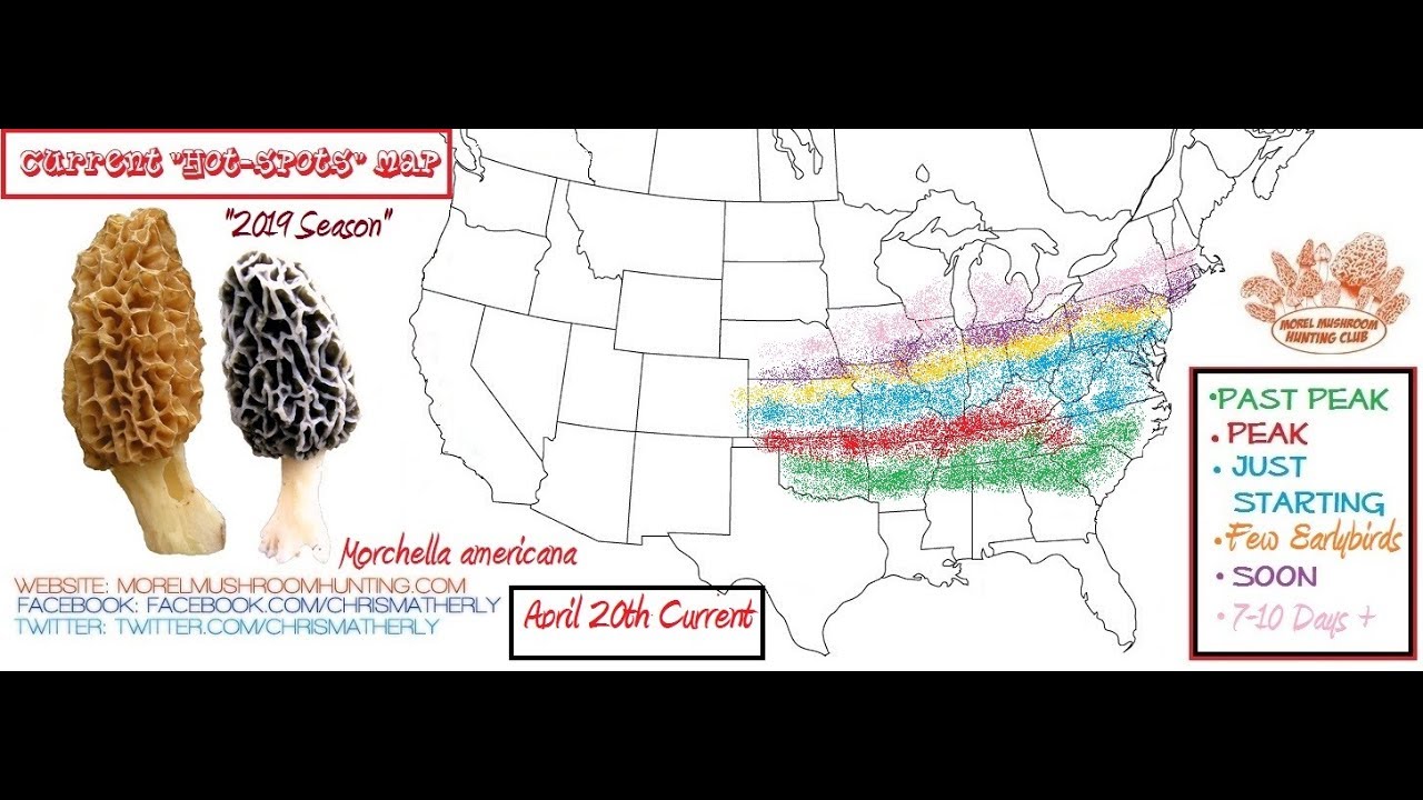 2019 morel progression maps automated thru april 30th YouTube