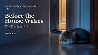 Before the House Wakes | Moonlit Cat Naps: Sleep Music for Cats | Calming Pet Music