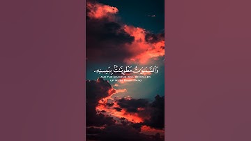 سورة الزمر القارئ اسلام صبحي