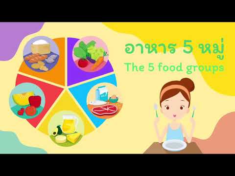 Motion Graphic : สื่อการสอน อาหาร 5 หมู่