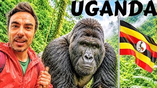 The Day In UGANDA I Will Never Forget (Gorilla Tracking Experience)🇺🇬