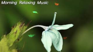 Great Morning Cafe Music - Peaceful Piano Music For Positive Energy And Relieve Stress