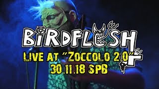 &quot;BIRDFLESH&quot; (SWE) Live At &quot;Zoccolo 2.0&quot; (30.11.18) St.-Petersburg