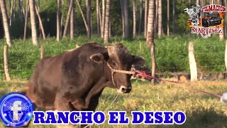 Porrazo y Queda de Rancho el Deseo de Costa Grande Y Cabalgata