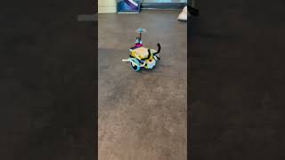 Lego spike #lego #kodlama #robot #robotik #robotikkodlama #giresun #shorts