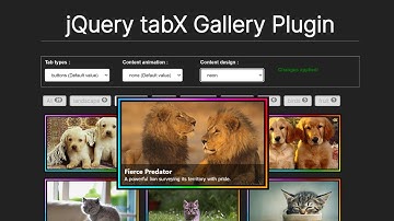 tabX: A Simple jQuery Plugin for Filterable Photo Galleries
