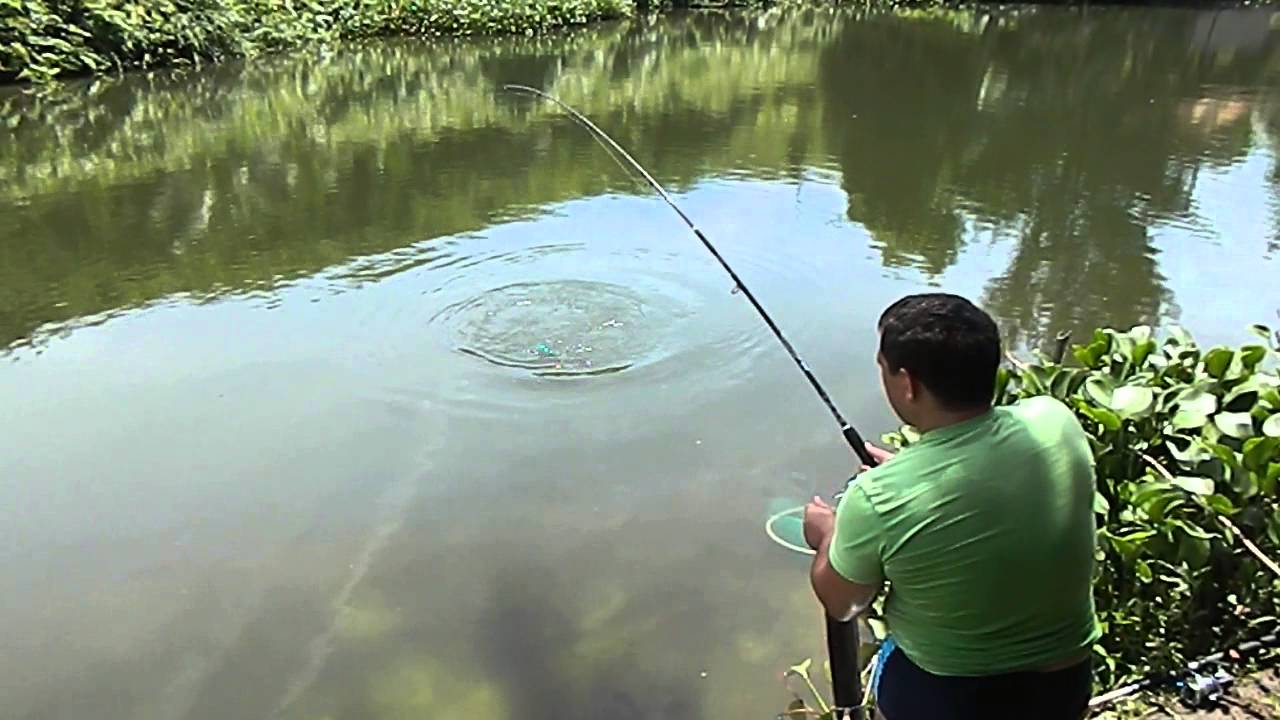 Рыбалка во вьетнаме Рыбалка во вьетнаме