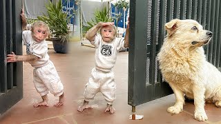 Lala Is So Excited She Cant Wait To Hear That Mom Is Coming To Visit