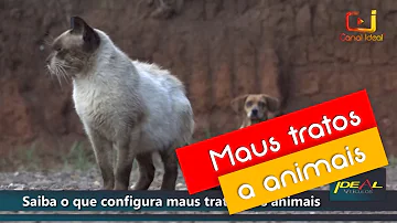 O que configura maus tratos?