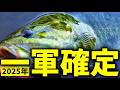 【ガチ公開】2025年、“一軍確定”した釣具12選【バス釣り】