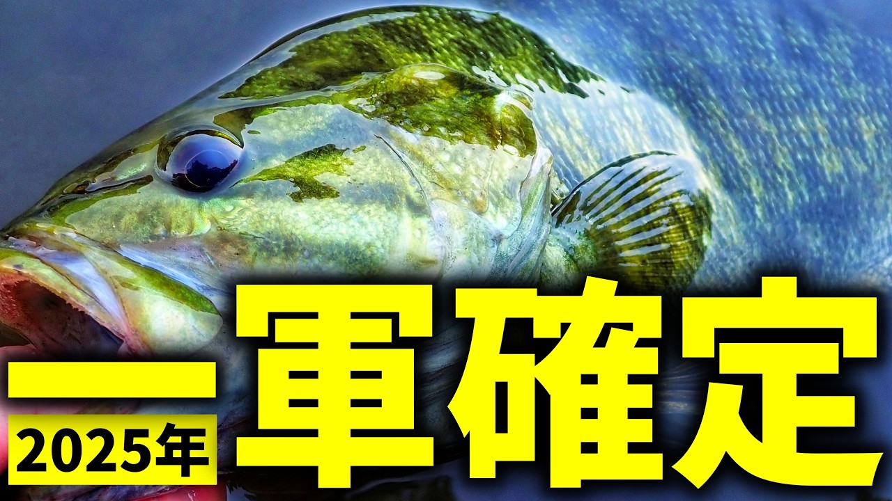 Real Reveal] 12 Fishing Gear That Are Guaranteed to Be the Best in