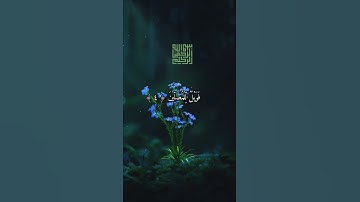 سورة الماعون تلاوة ممتازة للقارئ محمد