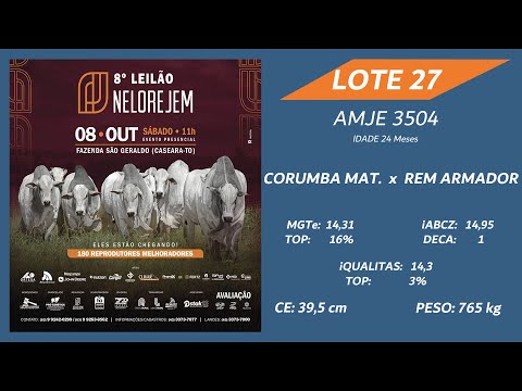 LOTE 27