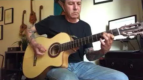 Tony Gamble Flamenco Fusion Guitar- Fighting The S...