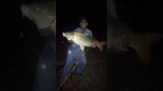 Biggest Catch of My Life! | Unbelievable Fishing Moment"#viral #shorts