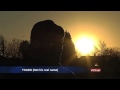 Unpaid wages Modise farm controversy