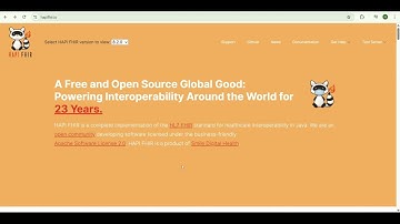 FHIR Server - How To Set Up Your Own FHIR Server With HAPI FHIR