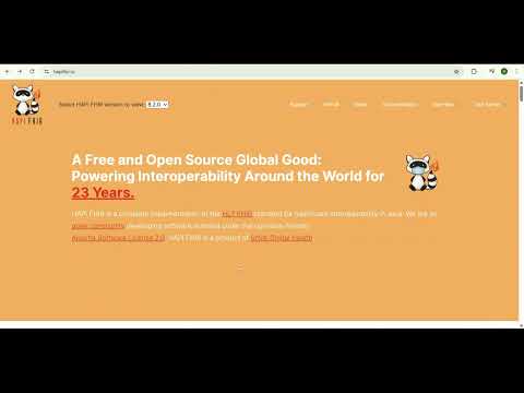 FHIR Server -