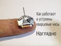 Как работают и как устроены наручные кварцевые часы.