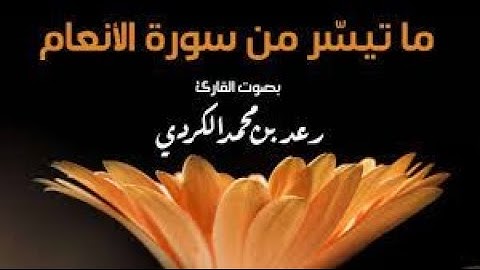 تلاوة جميلة ما تيسر من سورة الانعام  مع القارئ محمد رعد الكردي