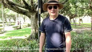 【八卦盤龍】【20200530(02)】劈拳 以脊椎帶動