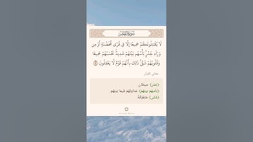 سورة الحشر أية (١٤)