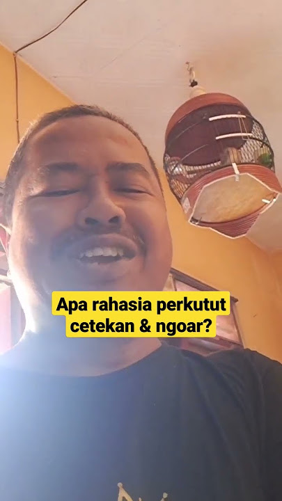 TIPS RAHASIA PERKUTUT NGOAR TANPA CETEKAN #perkututlokalgacor