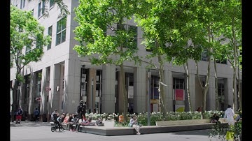 Campus Life in Brooklyn