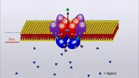 Linkage Analysis Simplified - A Tutorial - Daniel Sigg