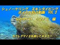 シュノーケリング・スキンダイビング ポイント紹介動画VOL.3      なかゆくい クマノミ 編