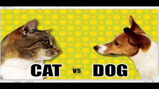 Cat VS Dog Debate