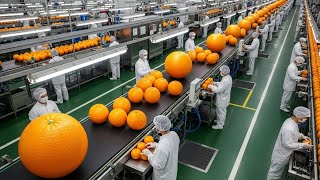 Download Lagu How Orange Juice Is Made: Inside a Modern Juice Factory (Step-by-Step Process) MP3