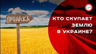 Кто скупает землю в Украине? Иван Томич