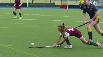 Skills with a Rebound net! (crazy catch)