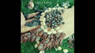 ticks layering another shell on one hand#130 #liceremoval