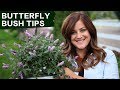 Butterfly Bush Care Tips // Garden Answer