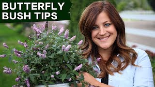 Butterfly Bush Care Tips // Garden Answer screenshot 4